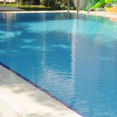 Larissa Villalari Villa