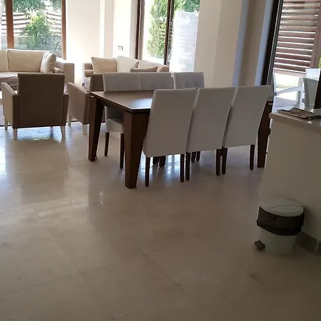 Larissa Villalari بيليك